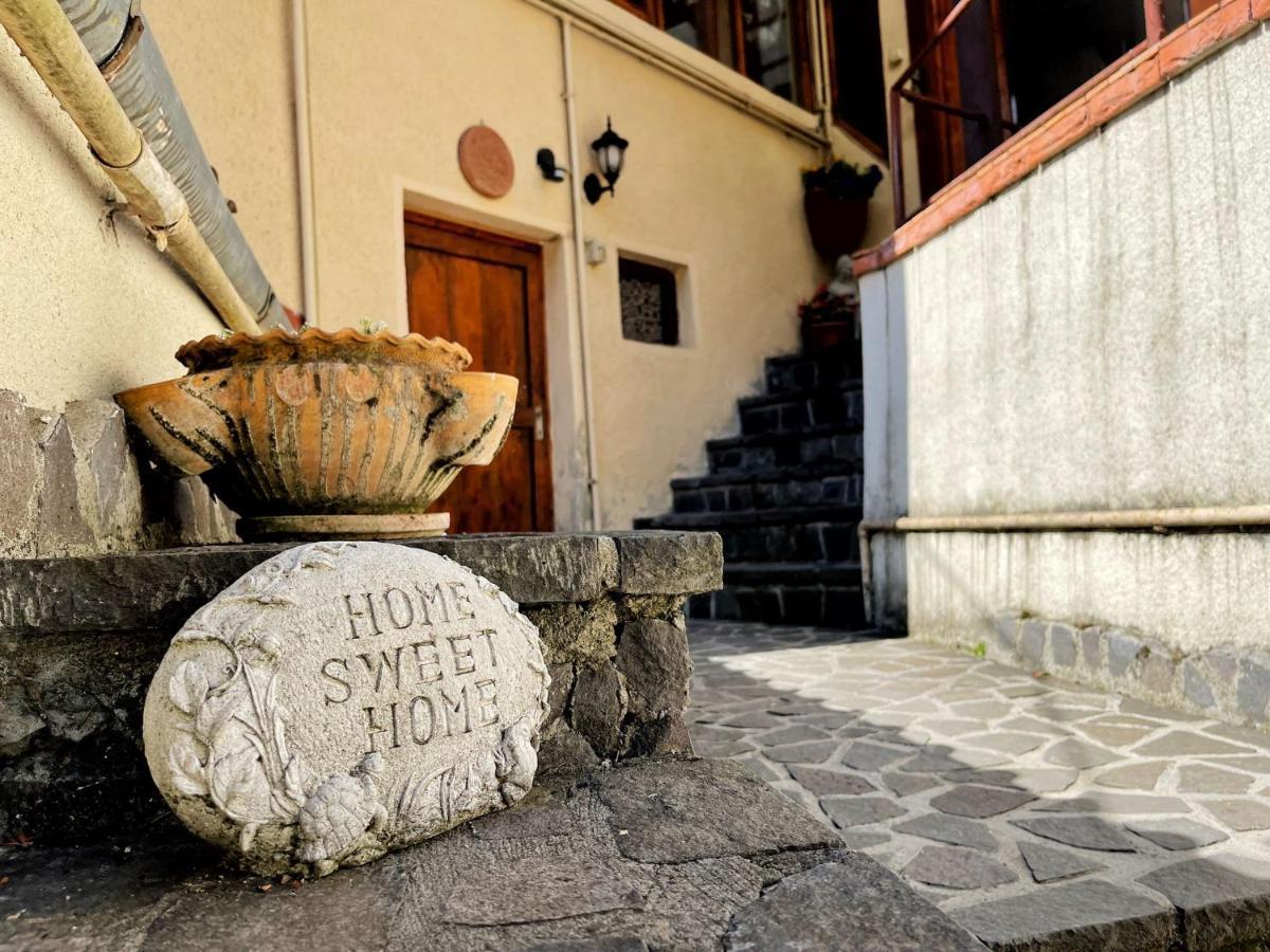 Dream House Brasov Ξενοδοχείο Εξωτερικό φωτογραφία
